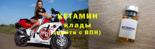 сатива Заполярный