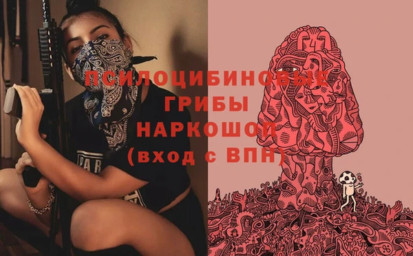 гидропоника Алзамай