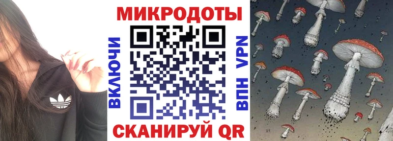 Псилоцибиновые грибы Magic Shrooms Красный Кут